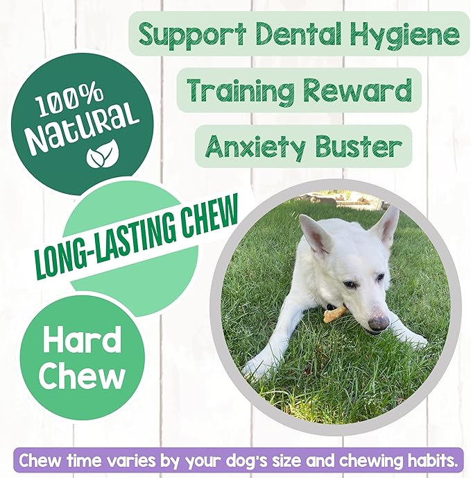 Nature Gnaws Beef Paddywack Tendons for Dogs 5-6" (5 Count) - Long Lasting for Aggressive Chewers - Natural Beef Dog Chew Bones - Rawhide Free