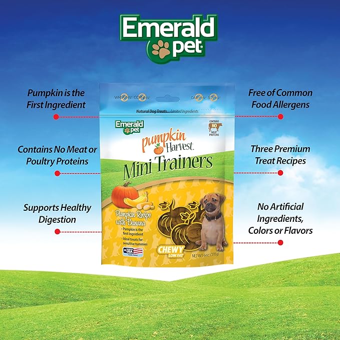 Emerald Pet Pumpkin Harvest Mini Trainers with Banana Chewy Dog Treats Made in The USA, 6oz (Banana Mini)