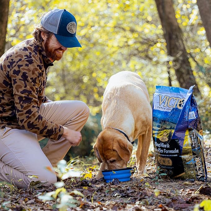 VICTOR Super Premium Dog Food – Select Beef Meal & Brown Rice Formula for Immune and Gut Health – Gluten-Free Beef Meal Dry Dog Food for All Normally Active Dogs of All Life Stages, 40 lbs