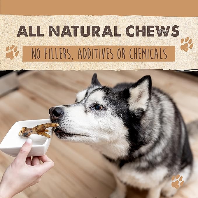 Mighty Paw Naturals Chicken Feet Dog Treats (30 Pack) | All Natural Dehydrated Chicken Feet for Dogs. Dried Treat for Pets. Single Ingredient Chews