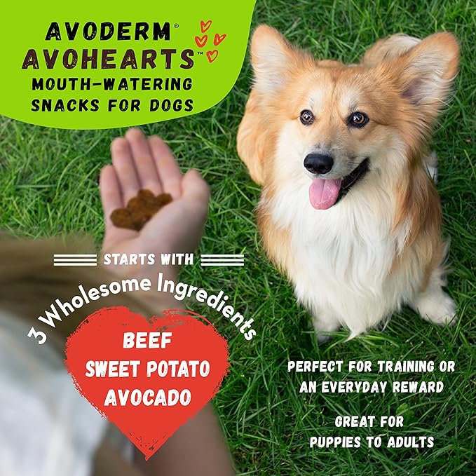 AvoDerm AvoHearts Beef and Avocado Formula Dog Treats, 5oz Bag