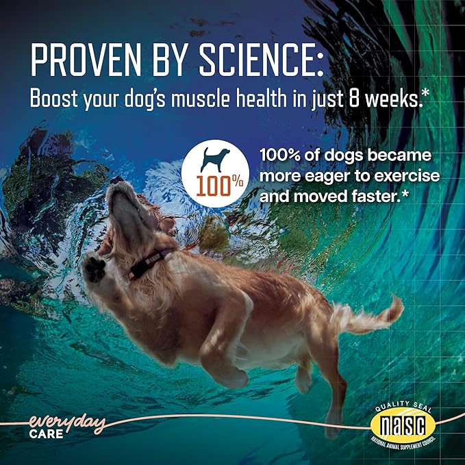 Virbac URSOLYX™ Soft Chews for Dogs | Muscle Health Support for Senior, Active or Recovering Dogs, Large Over 60lbs | 60 Count 2- Month Supply