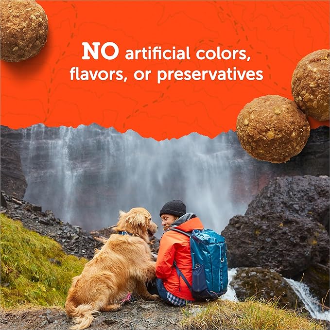 Zuke's Adventure Bites Chicken & Pumpkin Recipe Soft Dog Treats, 6 oz. Pouch