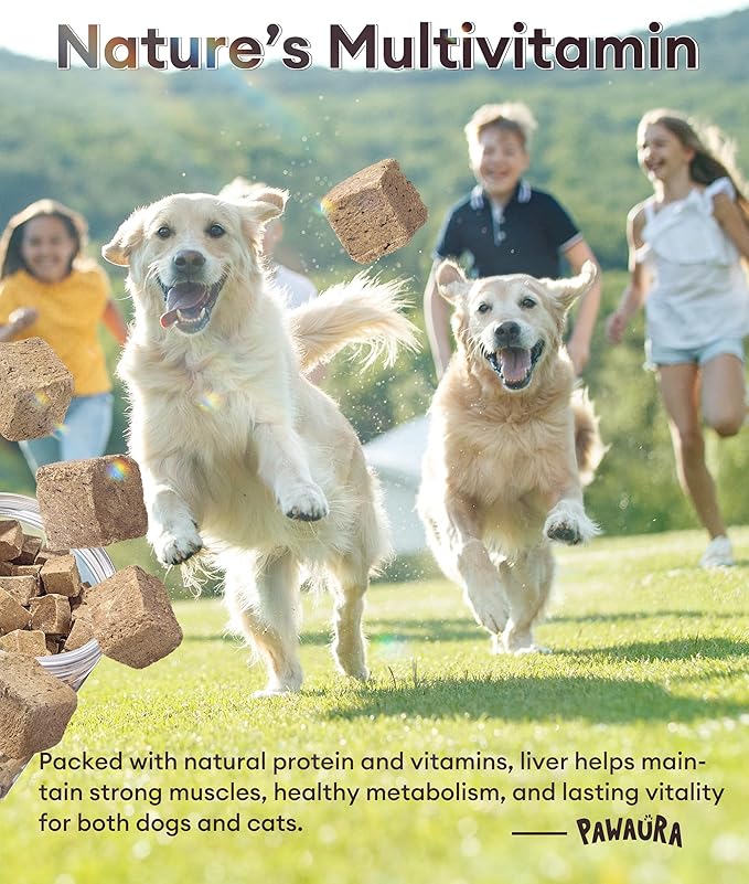Freeze-Dried Beef Liver Treats for Dogs & Cats, Single Ingredient, High-Protein, Grain-Free Natural Pet Snack, Resealable Tub, Ideal for Training or Meal Topper, 3.53oz