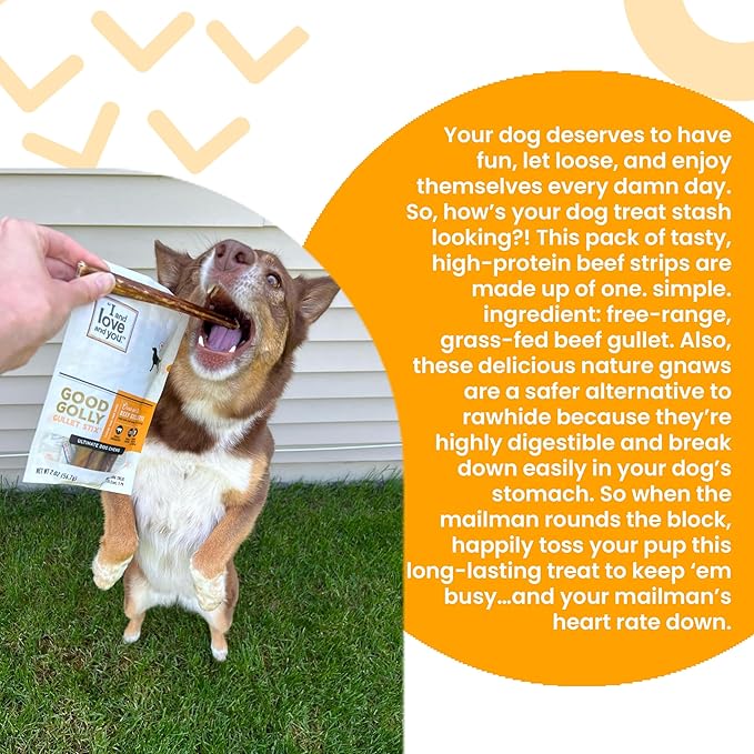 "I and love and you" Good Golly Beef Gullet Sticks - Grain Free Dog Chews, 100% Beef Treats for Dental Health, Free Range & Grass Fed Beef, 5 Pack of 6-Inch Sticks