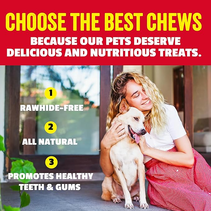 etta says! 7" Select Crunchy Dog Chews - Rawhide-Free Dog Treats - Made in the USA - Odor-Free, All-Natural Ingredients - for Moderate Chewers - Bacon - 10 Pack