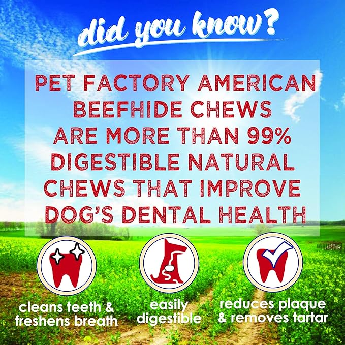 Pet Factory American Beefhide 12" Knotted Bone Dog Chew Treat - Natural Flavor, 1 Count/1 Pack