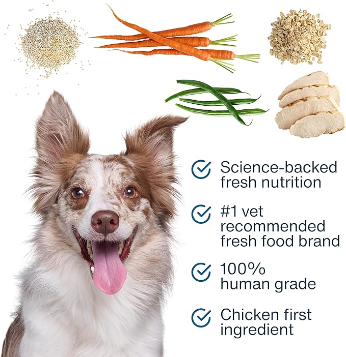 JustFoodForDogs JustFresh Boost Sensitive Skin Dog Food Toppers for Immune Support and Healthy Coat, Human-Grade Fresh Pet Meal Booster, 8 oz Pouches - 8 Pack