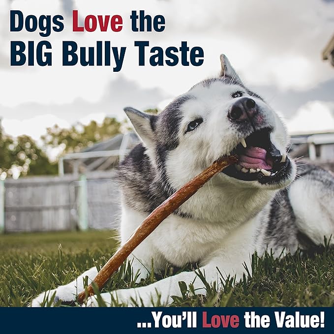 Cadet Bully Hide Sticks for Large Dogs, All-Natural Beef Pizzle, Limited-Ingredient Long-Lasting Dog Chews for Aggressive Chewers, 1 Count (Pack of 2)