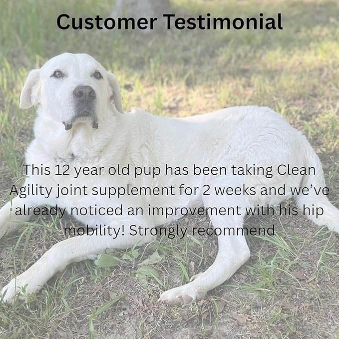 Joint Health for Dogs - Most Effective Natural Hip & Joint Supplement Available - Formulated with Veterinarians, Glucosamine, Chondrointin, MSM, Turmeric (Powder)