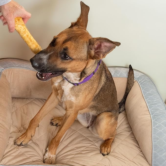 Fieldcrest Farms Nothin’ to Hide Ultra Knotted Bones – Collagen-Based Rawhide Alternative Dog Chews, Beef Flavor, Highly Digestible for Aggressive Chewers up to 35 lbs, 9-Inch, 2 Pack