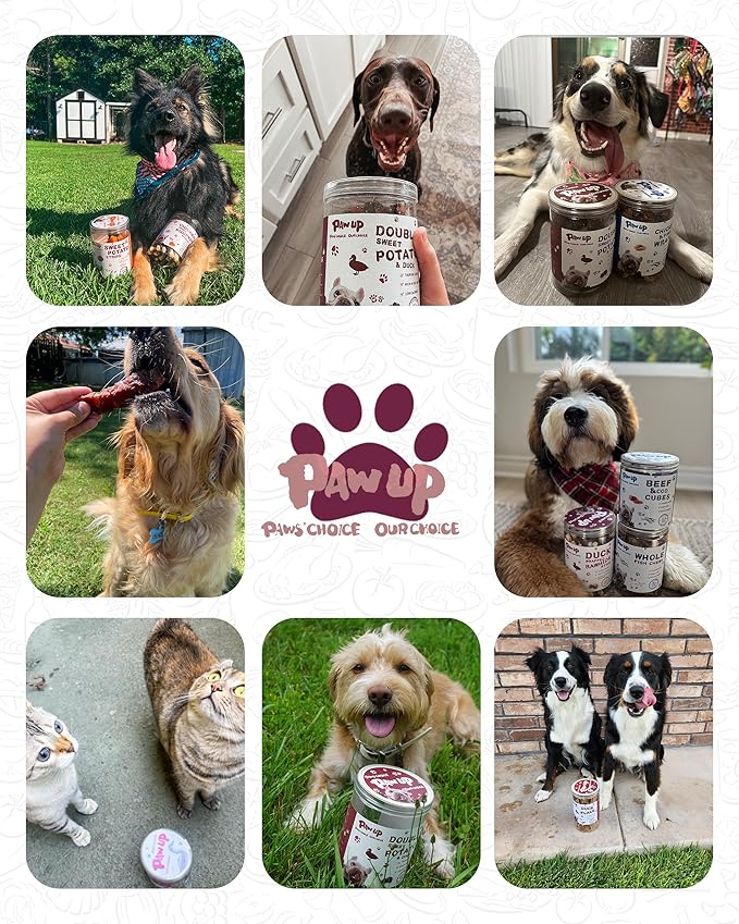PAWUP Duck Jerky Strips Dog Treats, Training Treats for Dogs w/Taurine, Low Fat, Natural Duck Jerky Cuts for Small Dog, 12.5 oz