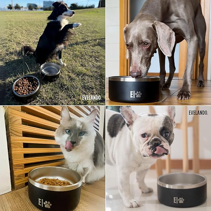 64 oz - 8 Cups Stainless Steel Dog Bowl – Triple-Insulated Pet Dish Keeps Water Cold & Food Warm – BPA-Free, Non-Slip Base – Durable & Elegant Feeding Bowl for Small & Medium Dogs & Cats
