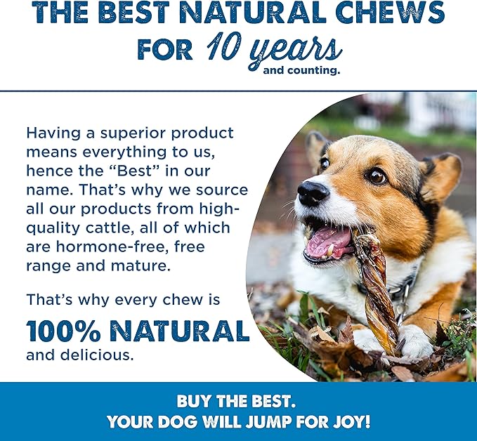 Best Bully Sticks Natural XL Braided Bully Sticks for Large Dogs - 12 Inch, 4 Count (Pack of 1) - 100% Free-Range Grass-Fed Beef, Single-Ingredient, Grain and Rawhide Free Long Lasting Dog Chews