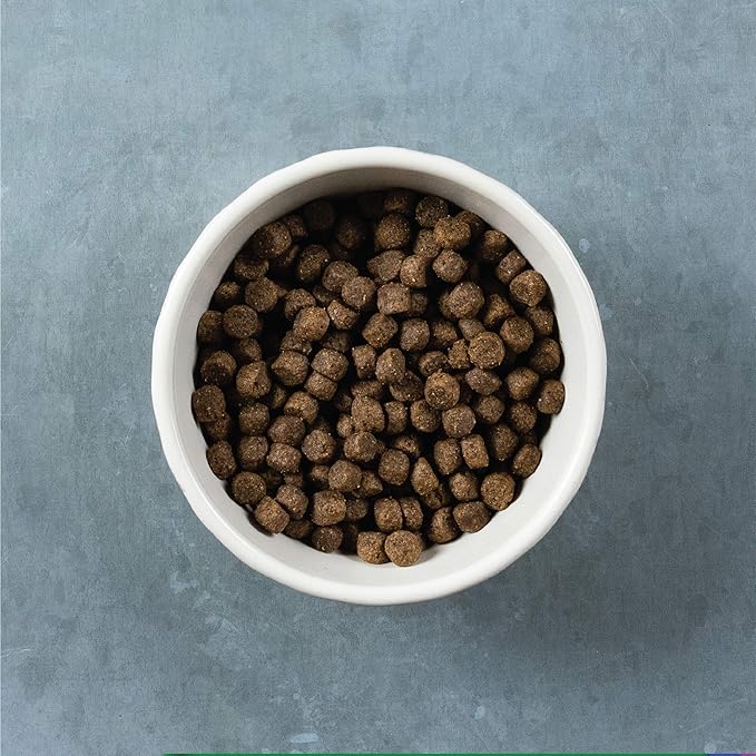 Evolve Grain Free Deboned Salmon & Sweet Potato Recipe Dog Food, 12 lb.