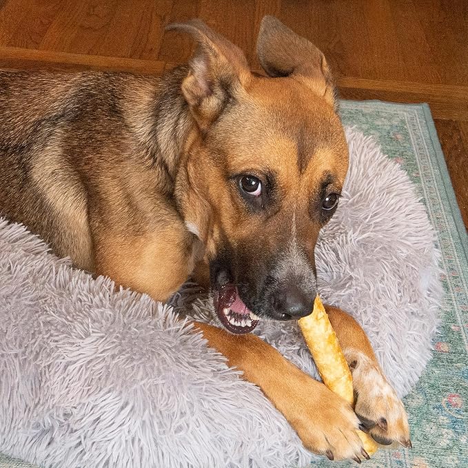 Fieldcrest Farms Nothin’ to Hide Ultra Knotted Bones – Collagen-Based Rawhide Alternative Dog Chews, Beef Flavor, Highly Digestible for Aggressive Chewers up to 35 lbs, 9-Inch, 2 Pack