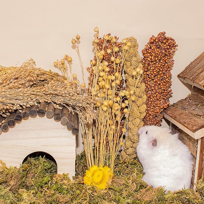 Sprays Set = Wheat + Flax + Yellow Millet + Panicle Millet + Corn Cob + Sorghum Stems, Pet Habitat Bedding Decor, Natural Hamster Chews Accessories, for Gerbil, Mice, Guinea Pig, Chinchilla, 6 Sprays