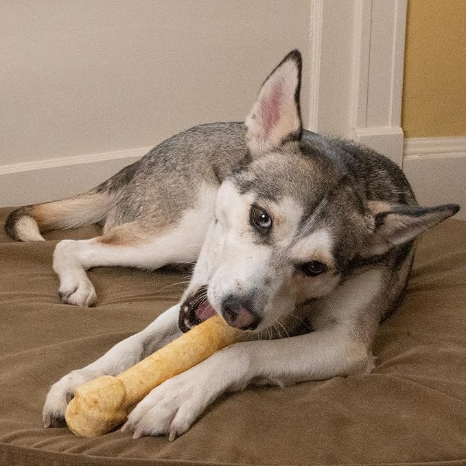 Fieldcrest Farms Nothin’ to Hide Ultra Knotted Bones – Collagen-Based Rawhide Alternative Dog Chews, Chicken Flavor, Highly Digestible for Aggressive Chewers up to 35 lbs, 9-Inch, 2 Pack
