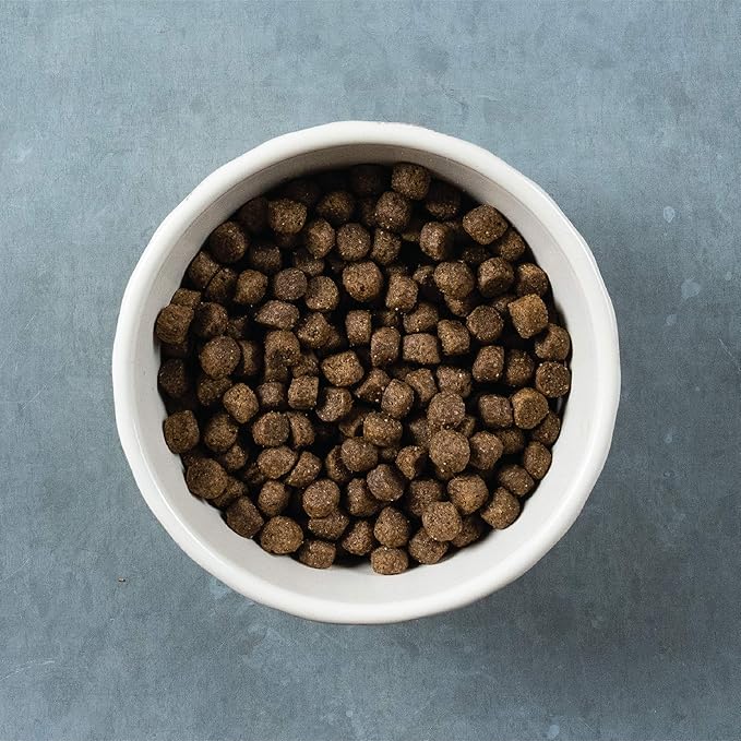 Evolve Pet Food Classics Deboned Beef, Barley and Bison Recipe Dog Food, 3.5-pounds