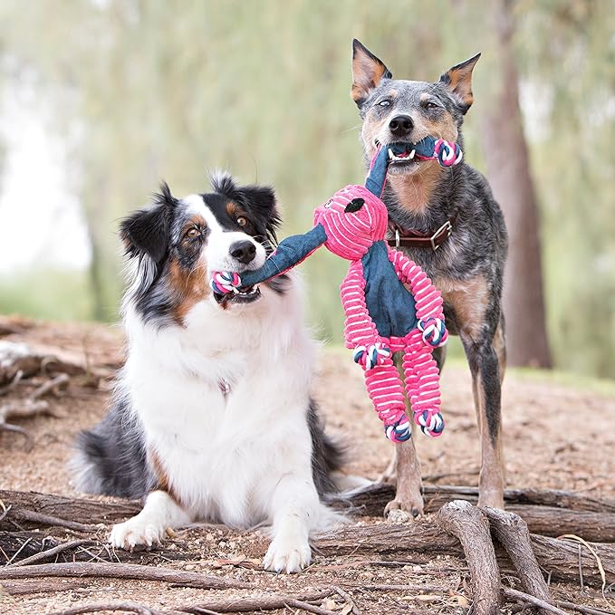 KONG Floppy Knots - Durable No‑Stuffing Squeaky Rope & Plush Dog Toy - for Teething, Playing (Hippo, Small/Medium)