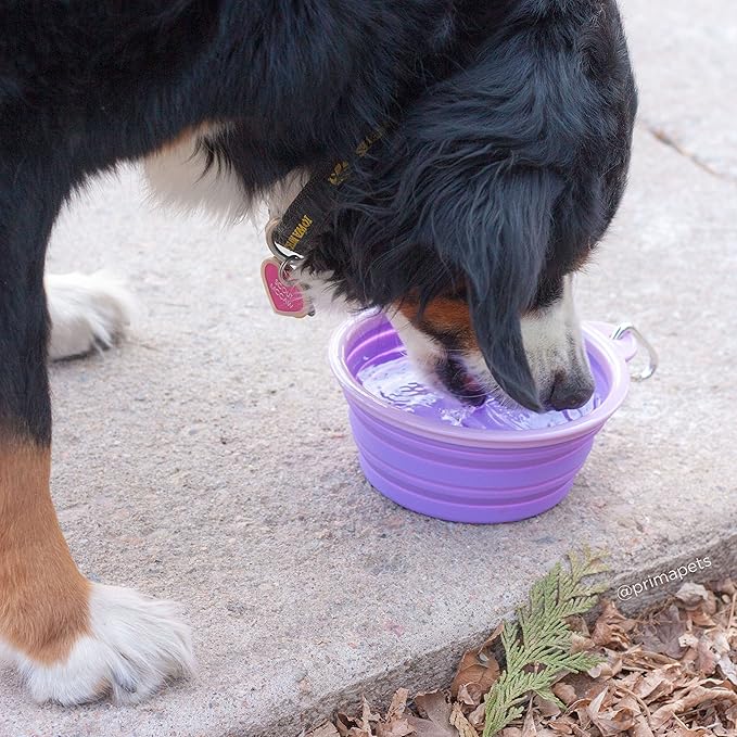 Collapsible Silicone Water Travel Bowl with Clip for Dog and Cat, Portable and Durable Pop-up Feeder for Convenient On-The-go Feeding – Size: Large (5 Cups) Purple – 2 Pack