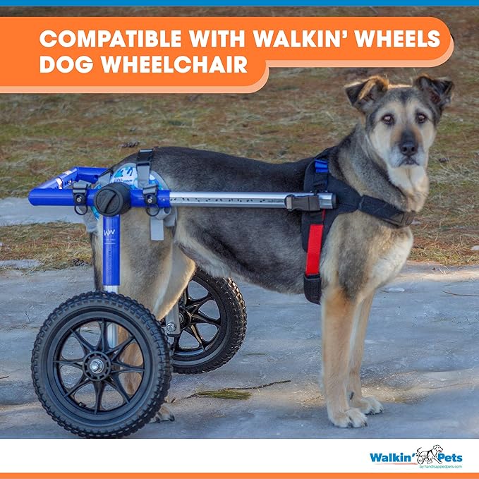 Walkin’ Warrior Rear Dog Harness for Mobility, Adjustable Handles, Rear Leg Dog Harness for Senior Dogs and Pets Recovering from Surgery