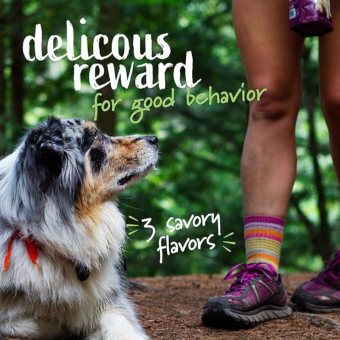 Pet Naturals Superfood Dog Treats with Blueberry and Kale - No Corn, Wheat or Artificial Ingredients - Bacon Flavor, 100 Chews (Pack of 1)