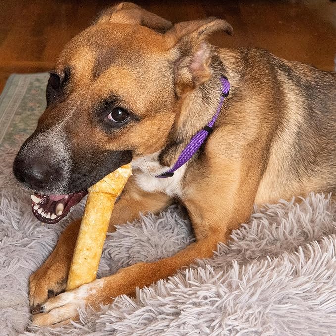 Fieldcrest Farms Nothin' to Hide 9-inch Ultra Knotted Bone Treat - Natural Rawhide Alternative Treats for Dogs, Collagen Based Snack for Heavy Chewers Over 50lbs - Beef Flavor, 1 Pack