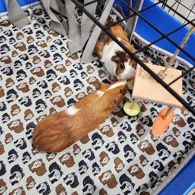 Enrichment Toy Turning Hanging for Guinea Pigs, Rabbits, Birds, Rats and Other Small Pets! Load with Veggies and Fruit (Hanging Toy)