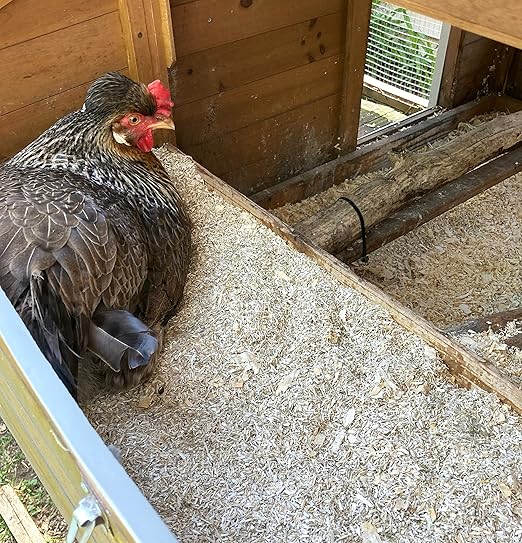 Hemp Chicken and Animal Bedding 8 Lbs of Natural Ground Hurds - Super Absorbent- DUST Free- for Your Chickens, Horse, Rabbit, Reptile, Hamster, Cage Coop or CAT Litter - USA Grown - Carbon Negative