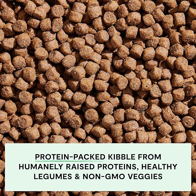 Open Farm, Grain-Free Dry Dog Food, Complete & Balanced Kibble, Sustainably & Ethically Sourced Ingredients, Non-GMO Veggies & Superfoods to Support Overall Health, Pork Recipe, 11lb Bag