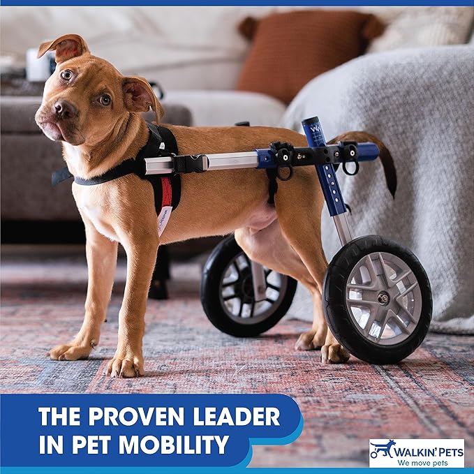 Walkin' Wheels Small Dog Wheelchair, Lightweight Dog Wheelchair for Back Legs, 11-14 lbs, for 9-13 inches Leg Height - Blue