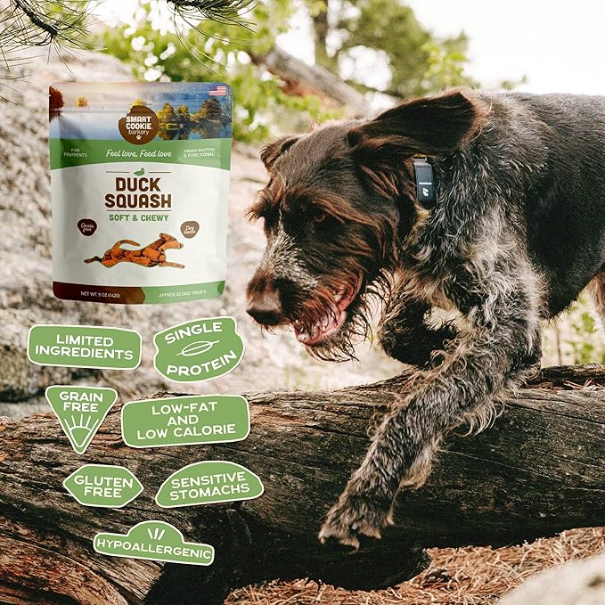 Smart Cookie All Natural Soft Dog Treats - Duck & Squash - Training Treats for Dogs with Allergies or Sensitive Stomachs - Grain Free Dog Treats, Chewy, Human-Grade, Made in USA - 5oz Bag