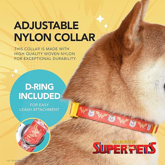 DC Comics League of Super-Pets PB Wonder Woman Dog Collar, Small | Officially Licensed DC League of Super-Pets PB Dog Collar | Small Dog Collar DC Wonder Woman Style with D-Ring for Leash